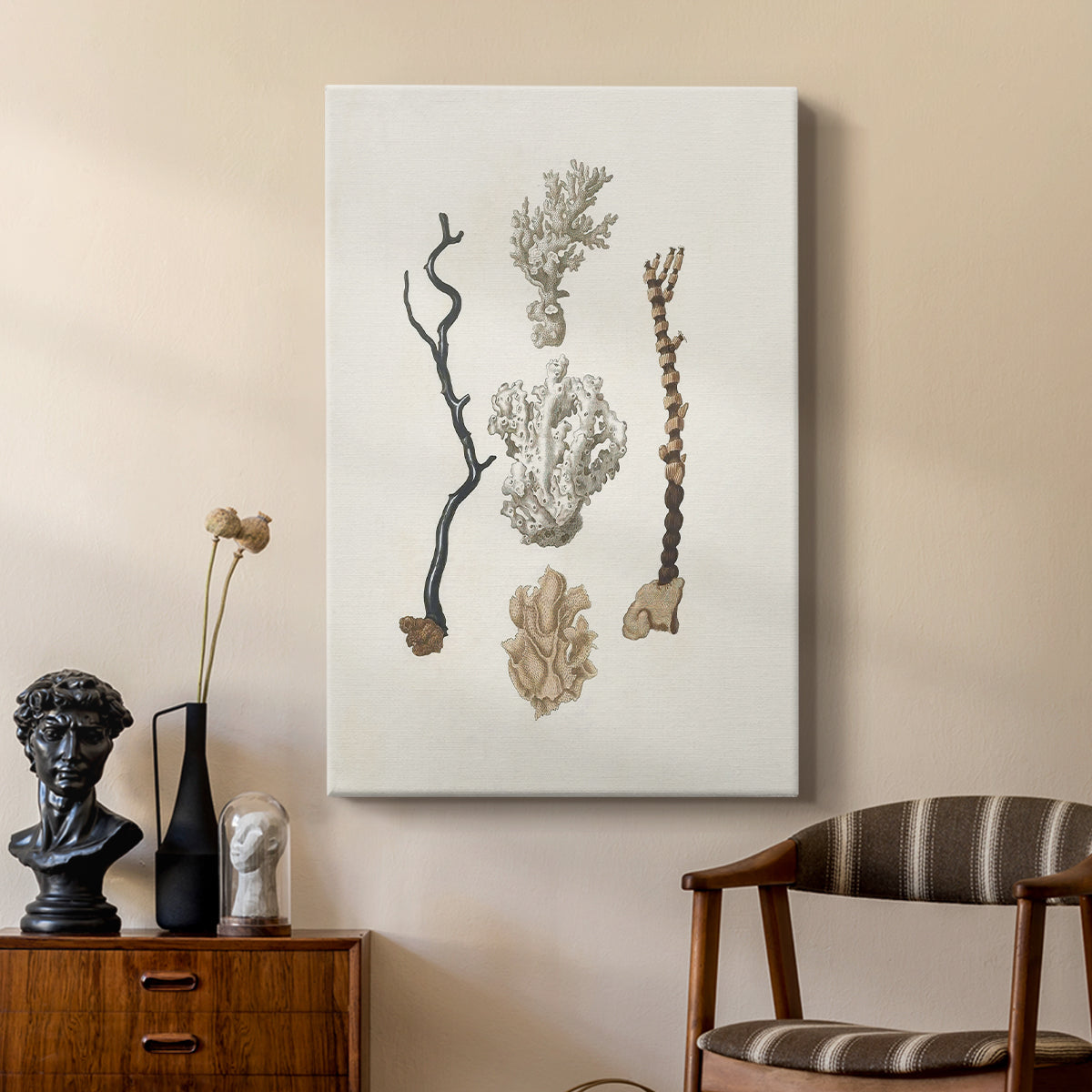 Knorr Shells & Coral V - Canvas Art Print