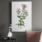 Rose Botanical III Premium Gallery Wrapped Canvas - Ready to Hang