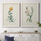 Traditional Botanical III - Premium Framed Canvas 2 Piece Set - Ready to Hang