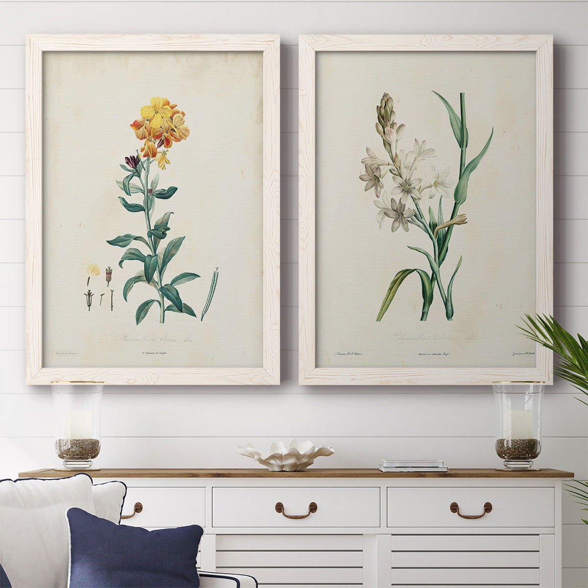 Traditional Botanical III - Premium Framed Canvas 2 Piece Set - Ready to Hang