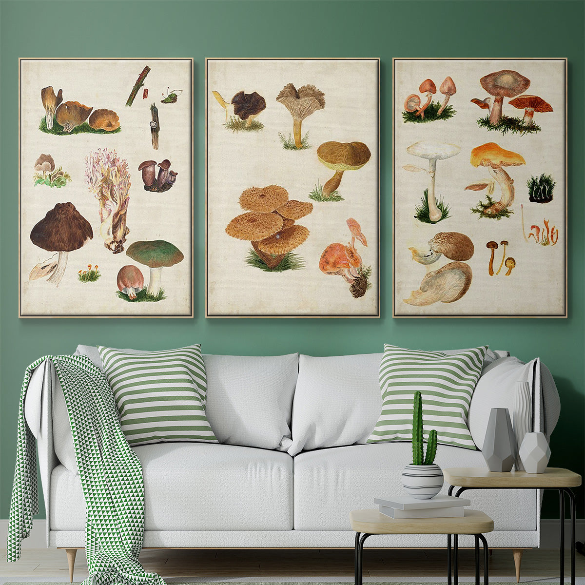 Mushroom Species I - Framed Premium Gallery Wrapped Canvas L Frame 3 Piece Set - Ready to Hang