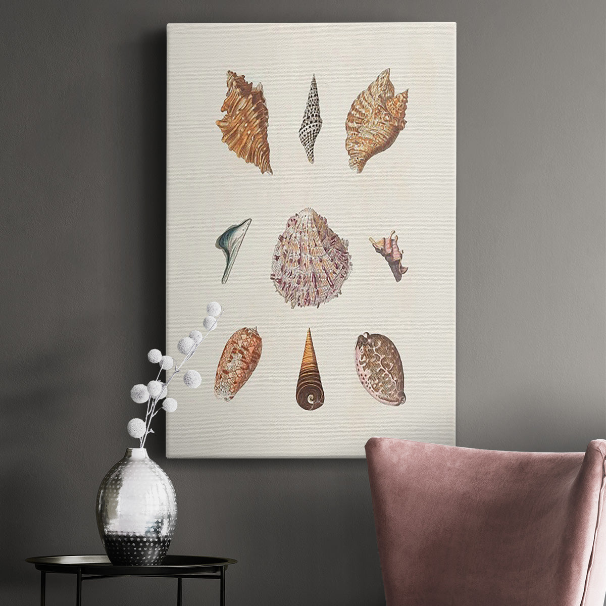 Knorr Shells & Coral VI Premium Gallery Wrapped Canvas - Ready to Hang