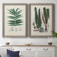 Set of two gray barnwood framed canvas prints depicting a coordinated art pair of vintage fern specimens with botanical details rendered as natural-history fern plates above a dining room sideboard.
