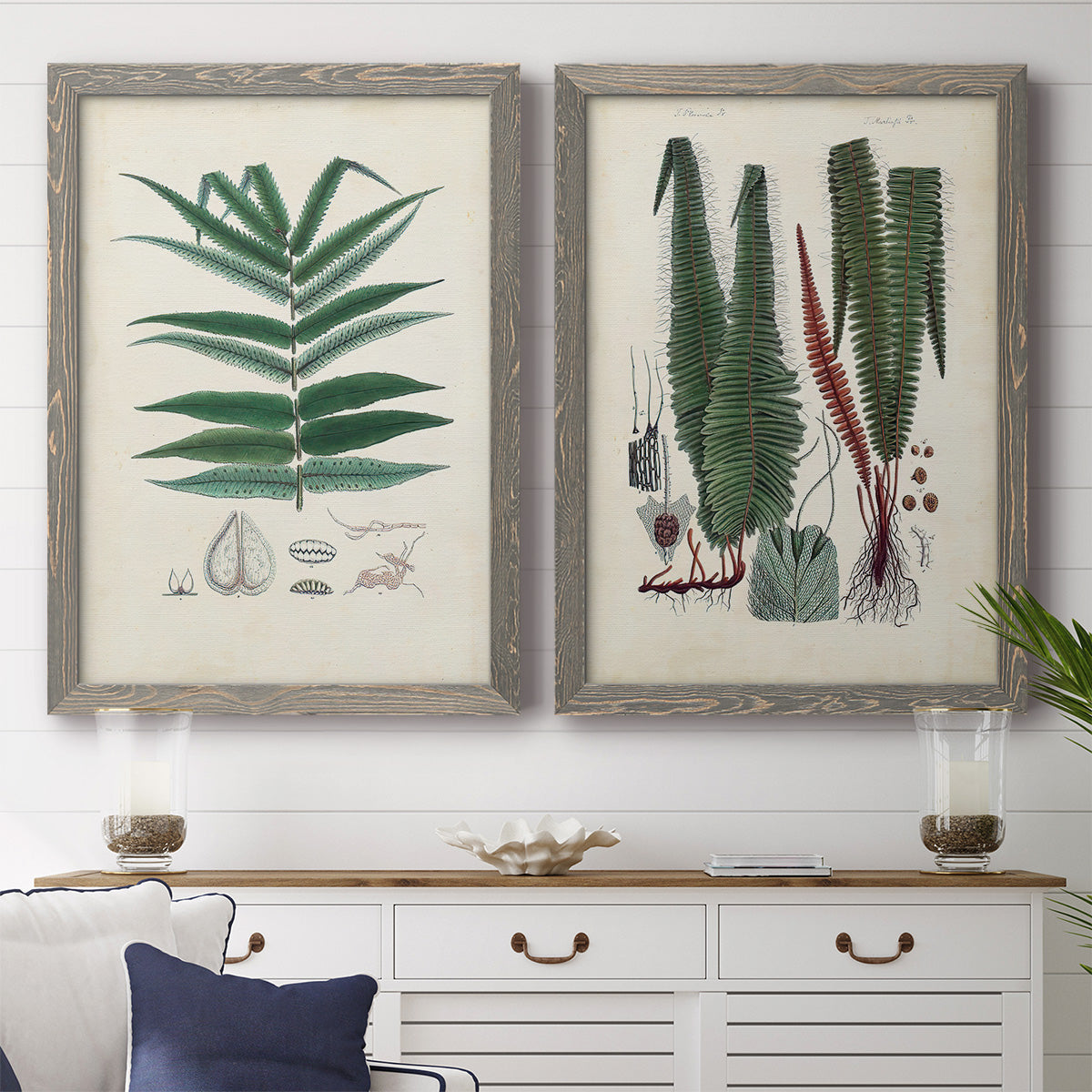Set of two gray barnwood framed canvas prints depicting a coordinated art pair of vintage fern specimens with botanical details rendered as natural-history fern plates above a dining room sideboard.