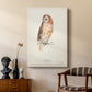 Tawny Owl - Canvas Art Print