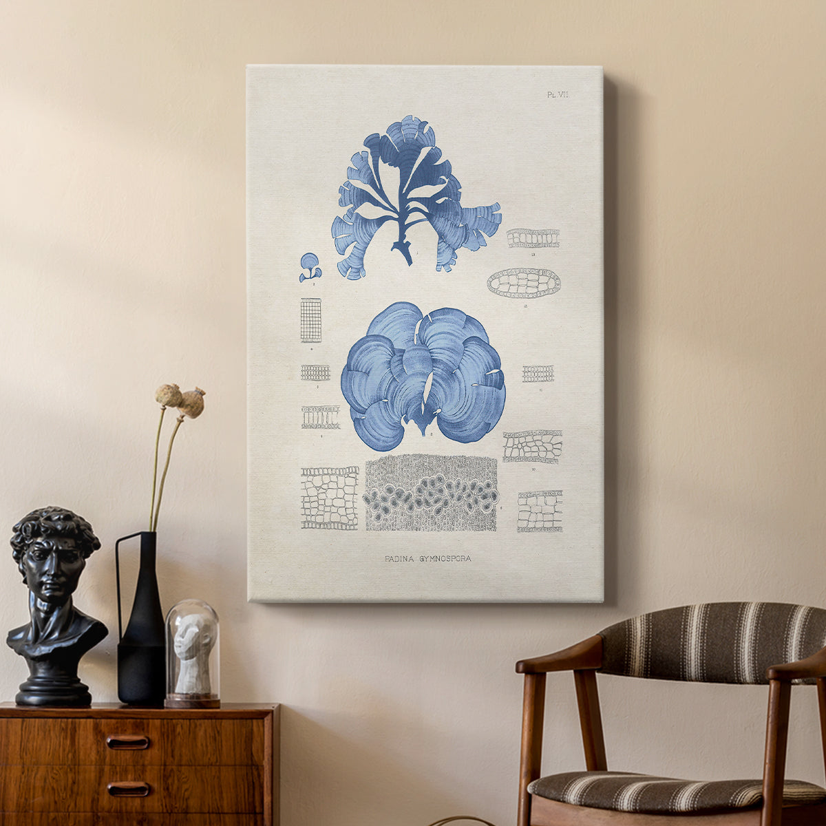 Blue Marine Algae IV - Canvas Art Print