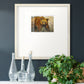 Majestic Premium Framed Print Double Matboard