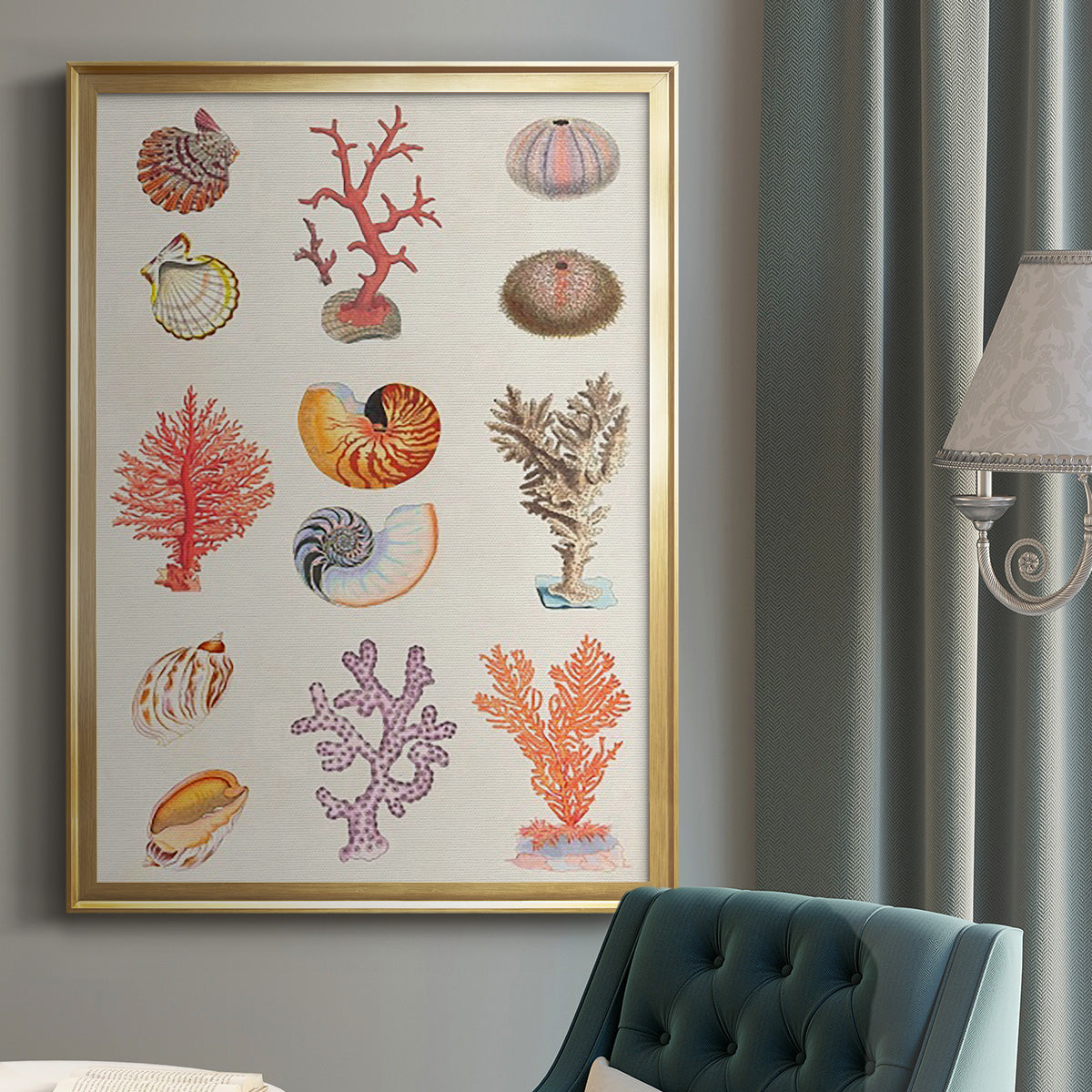 Coral & Shell Collage I -  Framed Canvas Print