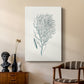 Antique Coastal Coral I - Canvas Art Print