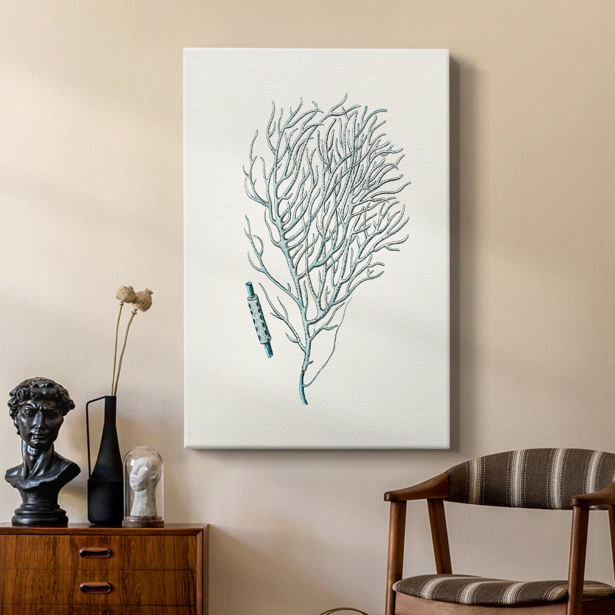 Antique Coastal Coral I - Canvas Art Print