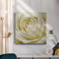 Wall Flower III-Premium Gallery Wrapped Canvas - Ready to Hang