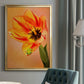 Hanging On VI - Modern Framed Canvas Print