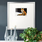 Fox Premium Framed Print Double Matboard