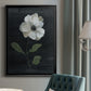 Country Botanical I - Modern Framed Canvas Print