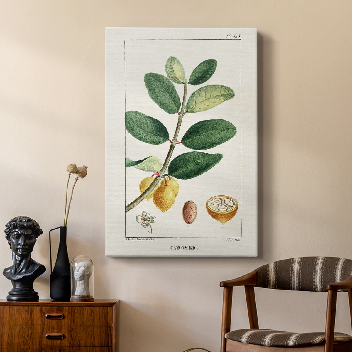 Turpin Tropical Botanicals V - Canvas Art Print