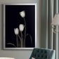 Tulip Pose III - Modern Framed Canvas Print