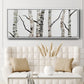 Birch Trees II - Floater Framed Canvas Print