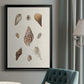 Knorr Shells & Coral IX - Modern Framed Canvas Print