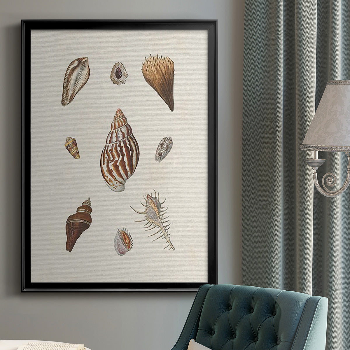 Knorr Shells & Coral IX - Modern Framed Canvas Print