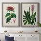 Antique Floral Folio I - Premium Framed Canvas 2 Piece Set - Ready to Hang