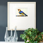 Blue Gold Finch Premium Framed Print Double Matboard