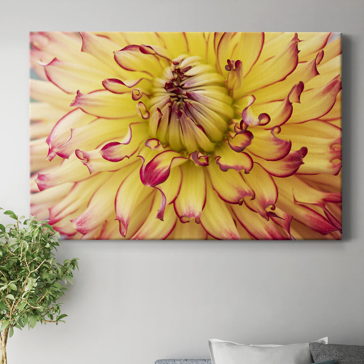 Blooms II Premium Gallery Wrapped Canvas - Ready to Hang