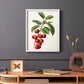 Antique Fruit II - Restickable Framed Art Print