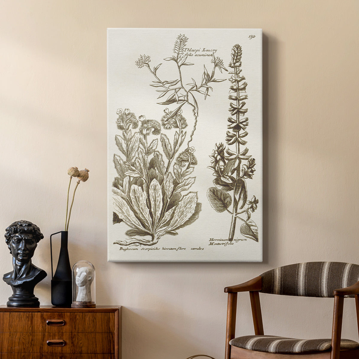 Sepia Botanical Journal IV - Canvas Art Print