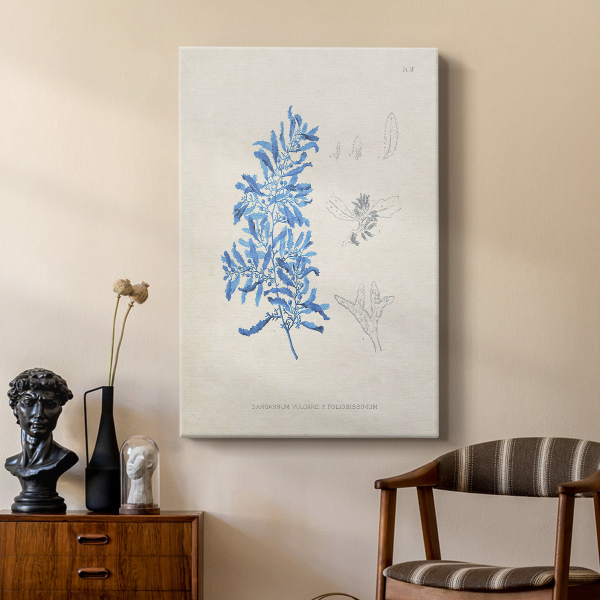 Blue Marine Algae VI - Canvas Art Print