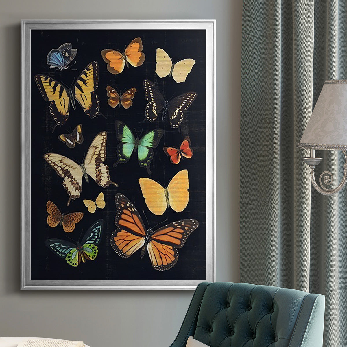 Collected Flutter III - Modern Framed Canvas Print