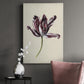 Antique Tulip Study IV Premium Gallery Wrapped Canvas - Ready to Hang