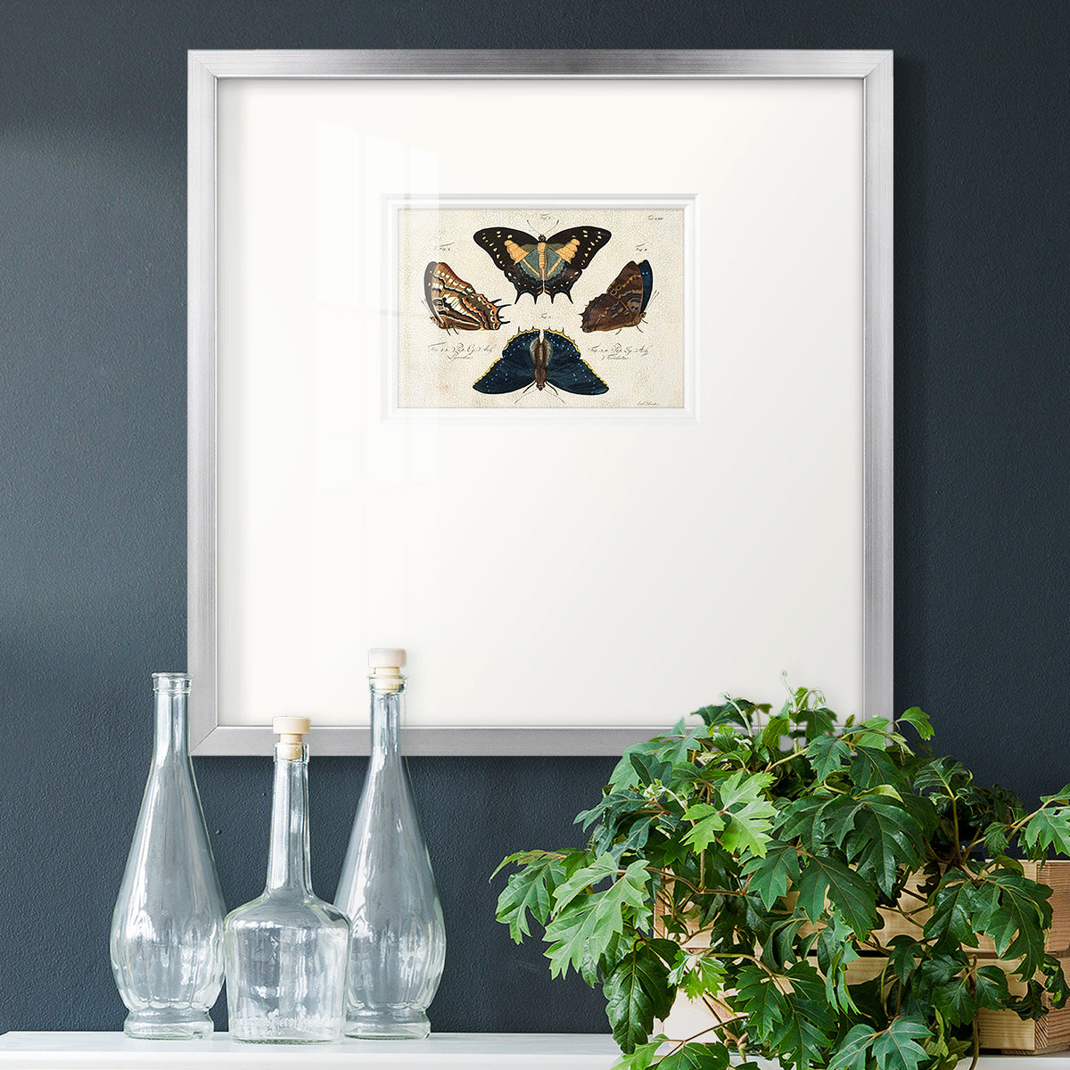 Crackled Butterflies IV Premium Framed Print Double Matboard