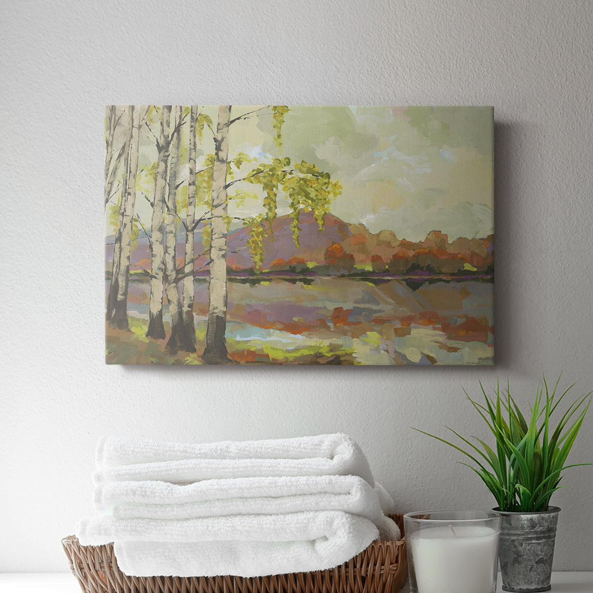 Birch Stand - Canvas Art Print