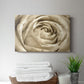 Neutral Wall Flower IV - Canvas Art Print