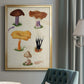 Mushroom Species VII - Modern Framed Canvas Print