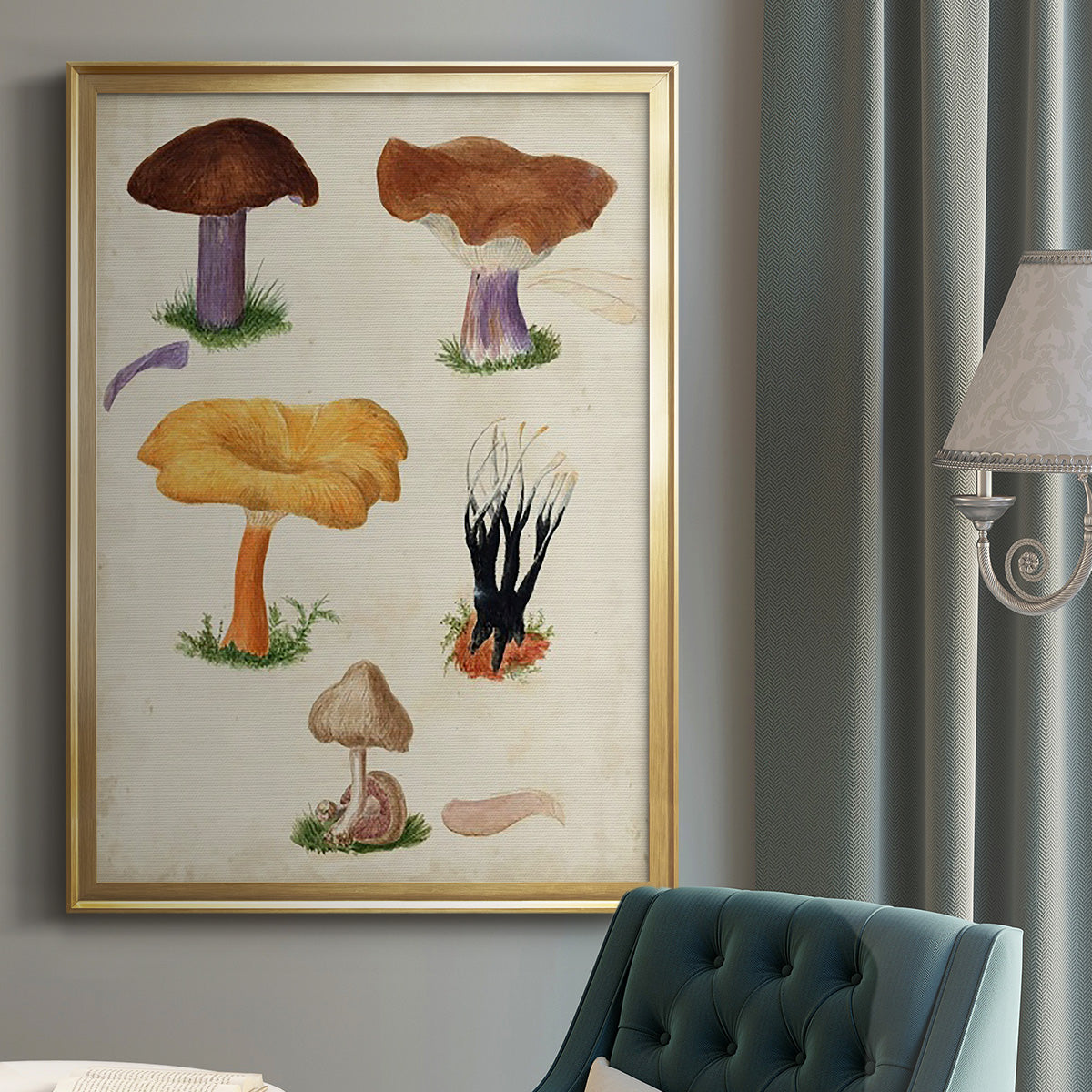 Mushroom Species VII - Modern Framed Canvas Print