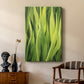 Blades of Grass II - Canvas Art Print