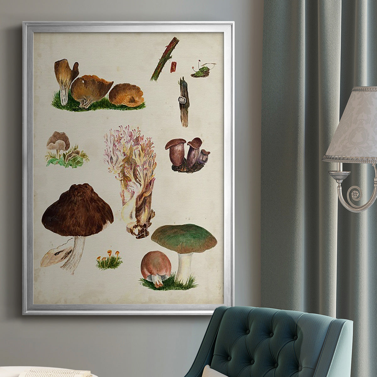 Mushroom Species IX - Modern Framed Canvas Print