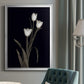 Tulip Pose I - Modern Framed Canvas Print