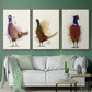 Pheasant Splash 3 - Framed Premium Gallery Wrapped Canvas L Frame 3 Piece Set - Ready to Hang