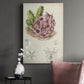 Antique Cactus III Premium Gallery Wrapped Canvas - Ready to Hang