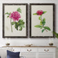 Set of two black barnwood framed canvas prints depicting a coordinated art pair of pink flowering plant specimens rendered as vintage botanical plate illustrations above a dining room sideboard.