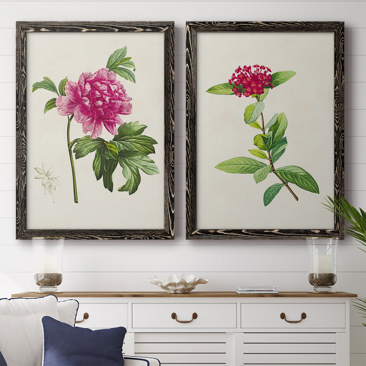 Set of two black barnwood framed canvas prints depicting a coordinated art pair of pink flowering plant specimens rendered as vintage botanical plate illustrations above a dining room sideboard.
