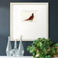 Pheasant Splash 4 Premium Framed Print Double Matboard