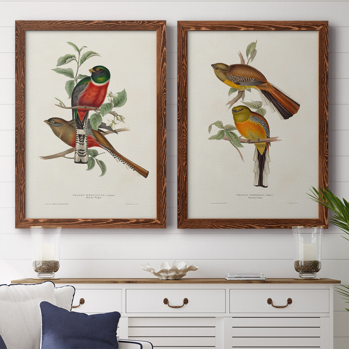 Elegant Trogons I - Premium Framed Canvas 2 Piece Set - Ready to Hang