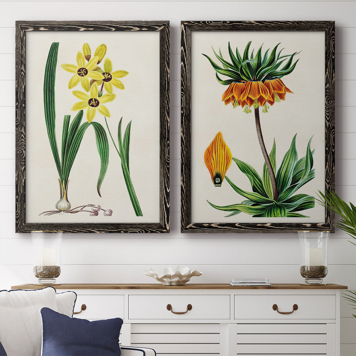 Set of two black barnwood framed canvas prints depicting a coordinated art pair of colorful flowering plant specimens rendered as antique botanical plate illustrations above a dining room sideboard.