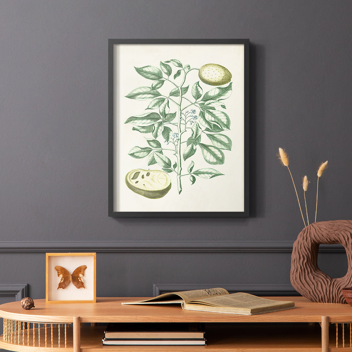 Buchoz Tropicals III - Restickable Framed Art Print