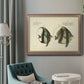 Bloch Antique Fish I Premium Framed Canvas- Ready to Hang