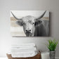 Steer XCI - Canvas Art Print