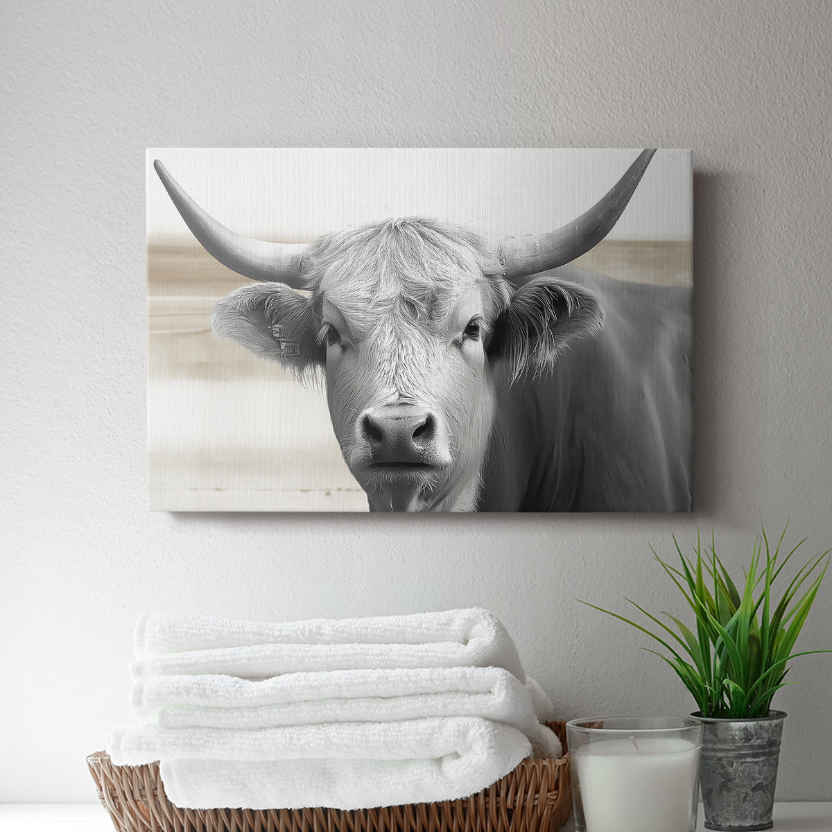 Steer XCI - Canvas Art Print